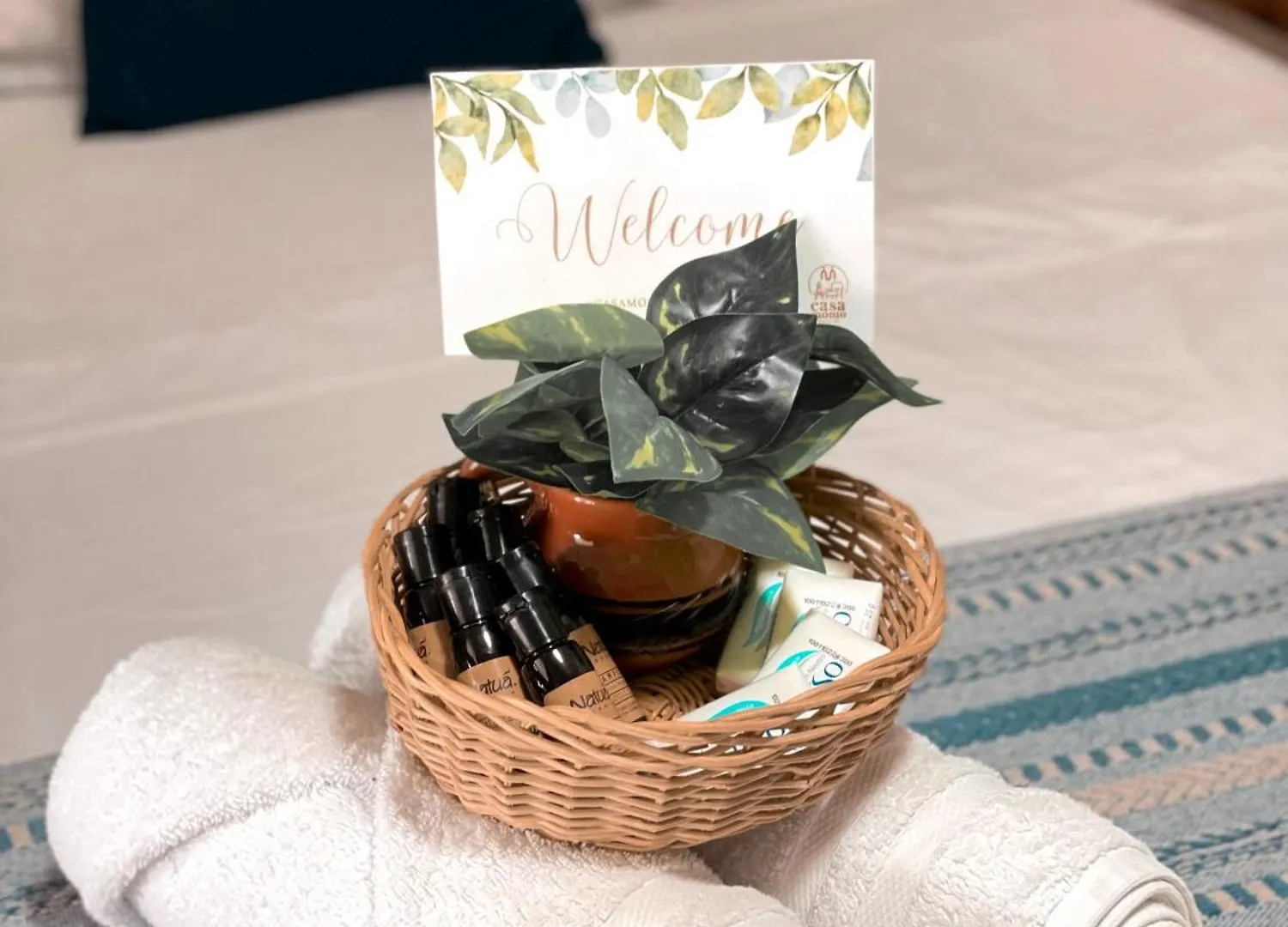 Cocoa By Casa Momo Apartamento Acogedor Y Centrico 바칼라르 아파트